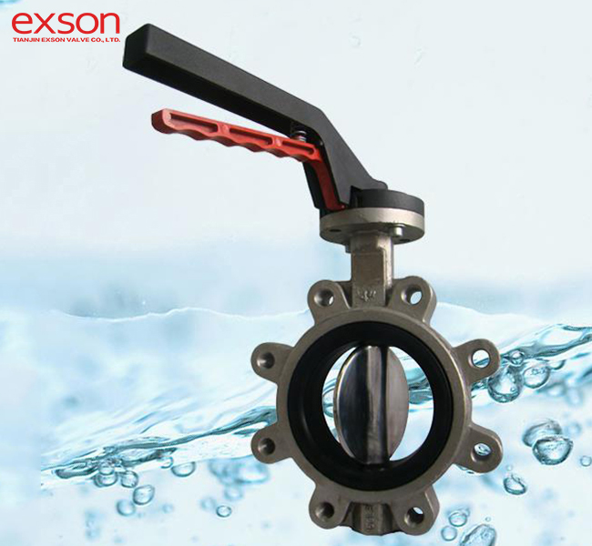 1.4529 Butterfly Valves